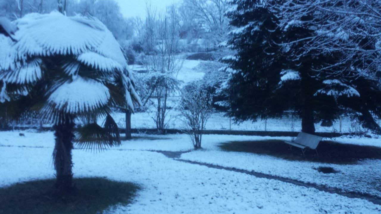 Le Curieux De Conques Bed & Breakfast Saint-Cyprien-sur-Dourdou Bagian luar foto